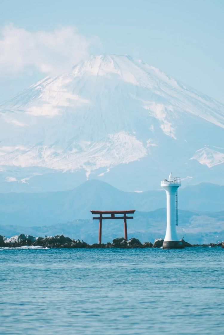 第224期：日本高中生被拐至缅甸电诈？桥本环奈经纪人再离任？大米荒后日均浪费8吨米饭？ | 百通板