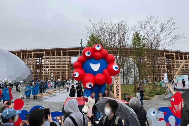 大阪世博游客老龄化严重 50岁以上占比超七成 大阪世博游客老龄化严重 50岁以上占比超七成