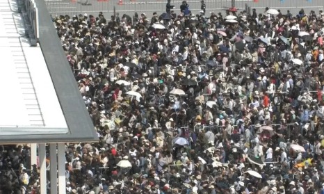 第235期：文春再曝永野芽郁田中圭暧昧聊天记录？岚将于明年解散；广末凉子患双相暂停活动；AKB20周年 | 百通板