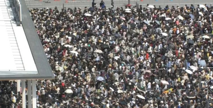第235期：文春再曝永野芽郁田中圭暧昧聊天记录？岚将于明年解散；广末凉子患双相暂停活动；AKB20周年 | 百通板