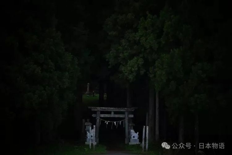 日本网友分享令人毛骨悚然鸟居的照片，感觉一旦走进去就回不来了
