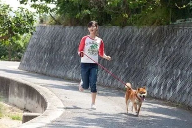 笑不活！日本黑帮老大遛狗不拴绳被捕，警察一句话送他进局子：不懂规矩就别养狗