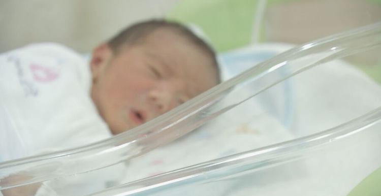 24年日本出生人口首跌70万大关 少子化危机持续加剧