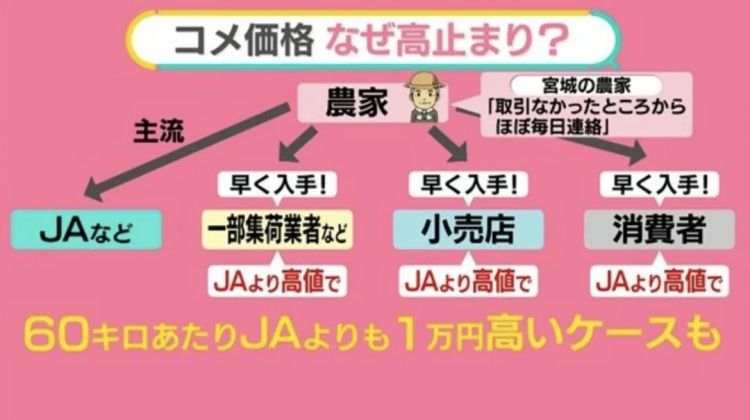 多年深耕，成功让日本人吃不起米的农协到底是个什么组织？