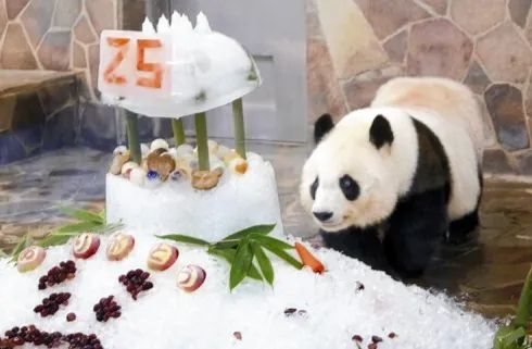 第241期：石破茂撒钱计划遇冷；日本性别平等G7垫底；永野芽郁遭雪藏 或被小松菜奈取代？日本世界级名将被曝婚内出轨 | 百通板