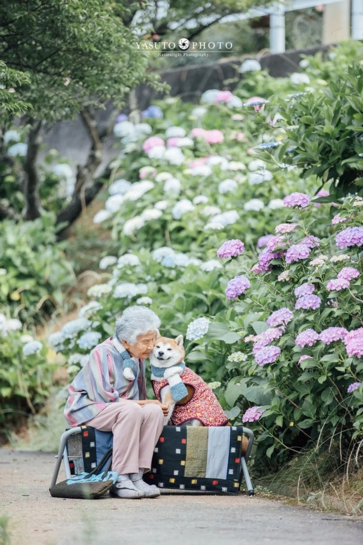 第241期：石破茂撒钱计划遇冷；日本性别平等G7垫底；永野芽郁遭雪藏 或被小松菜奈取代？日本世界级名将被曝婚内出轨 | 百通板