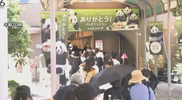 第243期：中国恢复日本水产进口；日航万米高空生死迫降；佐佐木希首谈丈夫出轨；秋元康男版AKB来了？| 百通板