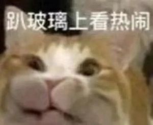 出道一年干翻《海贼王》，这就是集合中日韩文化交融的实力吗？