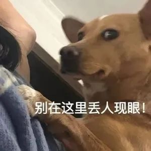 日本女网红在大阪世博会公然露出私密部位，网友怒吼：日本之耻！快逮捕她！
