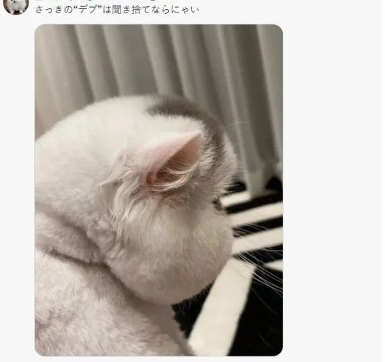 这个夏天，日本网友又在瞎说什么大实话？第59回