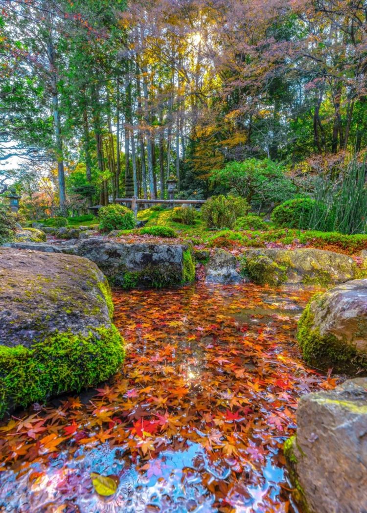 第258期:高市早苗首相梦碎?米仓凉子涉毒?NHK官宣红白主持人 绫濑遥领衔;大阪世博闭幕 | 百通板 第258期:高市早苗首相梦碎?米仓凉子涉毒?NHK官宣红白主持人 绫濑遥领衔;大阪世博闭幕 | 百通板