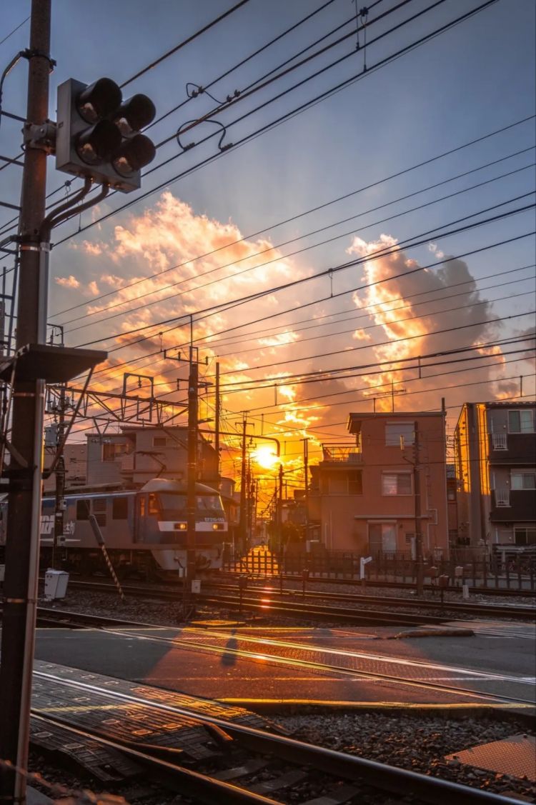 第260期：特朗普与高市早苗会面；龟梨和也与田中美奈实分手？日本熊灾肆虐；安倍晋三枪击案公审 | 百通板