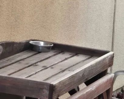 日本母亲杀女冰柜藏尸20年后自首,对外打造“好人人设”,对内让丈夫和婆婆集体沉默?! 日本母亲杀女冰柜藏尸20年后自首,对外打造“好人人设”,对内让丈夫和婆婆集体沉默?!