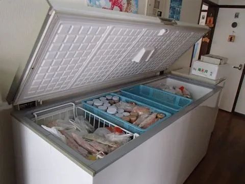 日本母亲杀女冰柜藏尸20年后自首,对外打造“好人人设”,对内让丈夫和婆婆集体沉默?! 日本母亲杀女冰柜藏尸20年后自首,对外打造“好人人设”,对内让丈夫和婆婆集体沉默?!