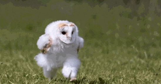 杨XX麻辣烫、Labubu也能成为日本年度流行语？好多看着莫名其妙啊！