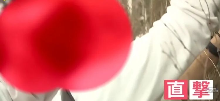 外国游客在竹子上乱涂乱画,日本人崩溃:我把竹子砍了还不行吗? 外国游客在竹子上乱涂乱画,日本人崩溃:我把竹子砍了还不行吗?