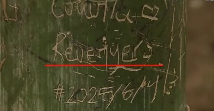 外国游客在竹子上乱涂乱画,日本人崩溃:我把竹子砍了还不行吗? 外国游客在竹子上乱涂乱画,日本人崩溃:我把竹子砍了还不行吗?