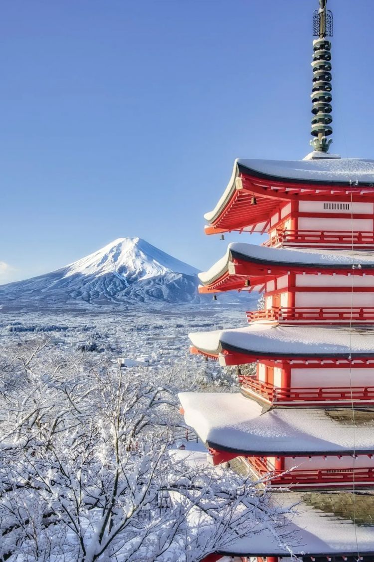 第262期:suica西瓜卡企鹅要毕业?宝可梦新作定档明年;日系车企财报赤字频出?日本熊灾破纪录;aespa将登红白?| 百通板 第262期:suica西瓜卡企鹅要毕业?宝可梦新作定档明年;日系车企财报赤字频出?日本熊灾破纪录;aespa将登红白?| 百通板