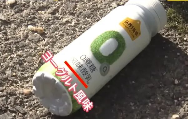 外国游客在竹子上乱涂乱画,日本人崩溃:我把竹子砍了还不行吗? 外国游客在竹子上乱涂乱画,日本人崩溃:我把竹子砍了还不行吗?