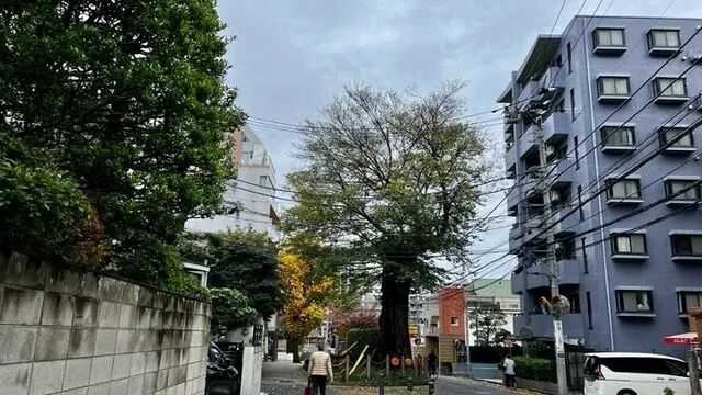 日本地产市场火热引得“地面师”再现江湖,动辄诈骗几十亿的他们究竟是什么人? 日本地产市场火热引得“地面师”再现江湖,动辄诈骗几十亿的他们究竟是什么人?