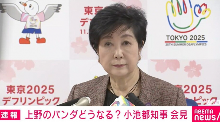 日本即将没有熊猫？东京知事回应