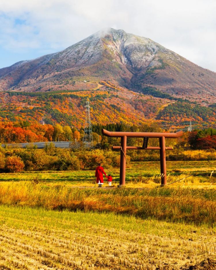 第263期：赴日旅游减少 日本将损失1.7万亿？NHK红白歌会名单出炉；日本GD日本GDP现负增长 | 百通板