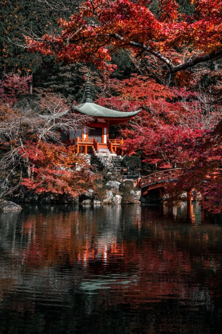 第264期:在华演出接连取消 日本音乐人怒批日本政府?中国暂停日本水产进口;唱片大奖公布 | 百通板 第264期:在华演出接连取消 日本音乐人怒批日本政府?中国暂停日本水产进口;唱片大奖公布 | 百通板