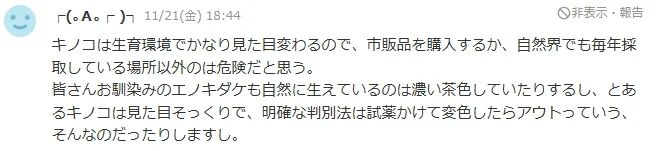 日本大爷上山采蘑菇吃完差点没命,大爷:问了AI说没毒才吃的… 日本大爷上山采蘑菇吃完差点没命,大爷:问了AI说没毒才吃的…