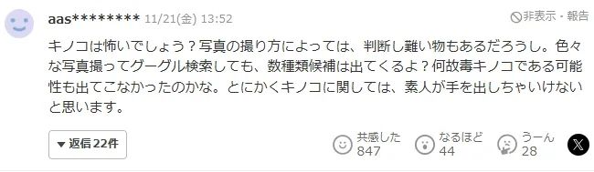 日本大爷上山采蘑菇吃完差点没命,大爷:问了AI说没毒才吃的… 日本大爷上山采蘑菇吃完差点没命,大爷:问了AI说没毒才吃的…