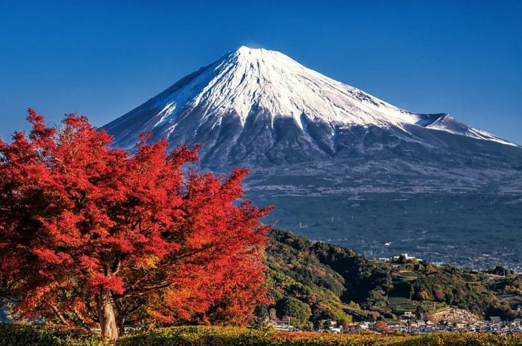 第265期：高市早苗名言当选日本年度流行语？东京拟提高住宿税；滨崎步演唱会紧急叫停？| 百通板