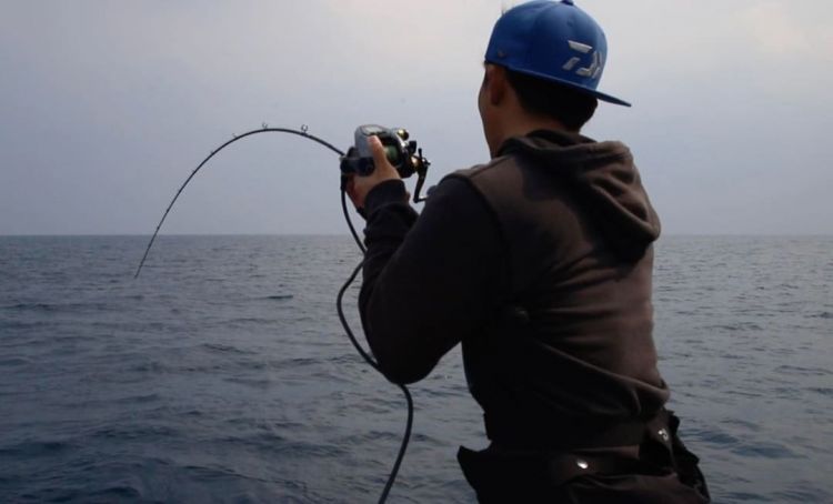 悠久的时间流逝,自然与历史交织的岛【松岛】 悠久的时间流逝,自然与历史交织的岛【松岛】