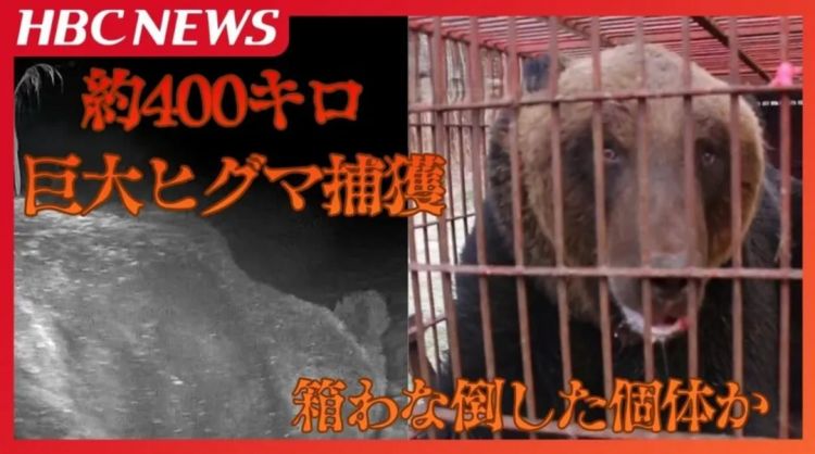 第265期：高市早苗名言当选日本年度流行语？东京拟提高住宿税；滨崎步演唱会紧急叫停？| 百通板