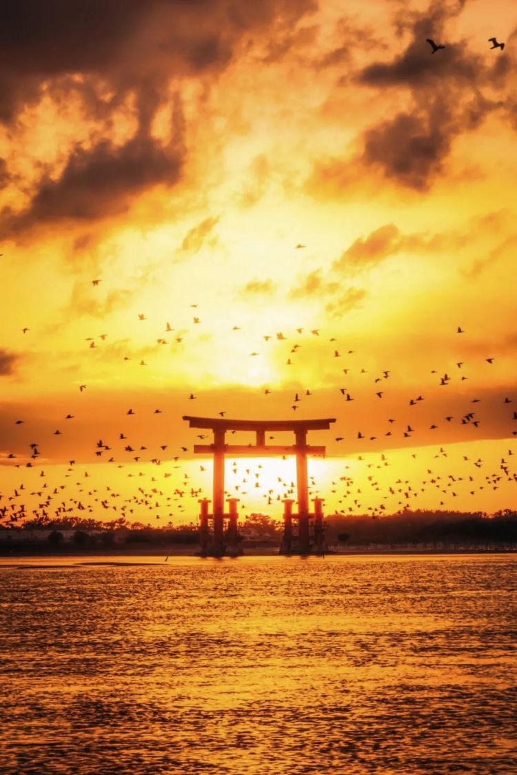 第265期：高市早苗名言当选日本年度流行语？东京拟提高住宿税；滨崎步演唱会紧急叫停？| 百通板