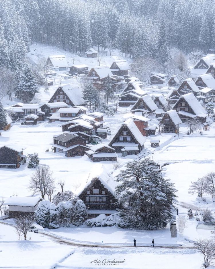第266期:日本GDP增速下调?永野芽郁将复出?日本多所大学拟上调留学生学费?日本再发大地震;AKB48举行20周年演唱会 | 百通板 第266期:日本GDP增速下调?永野芽郁将复出?日本多所大学拟上调留学生学费?日本再发大地震;AKB48举行20周年演唱会 | 百通板