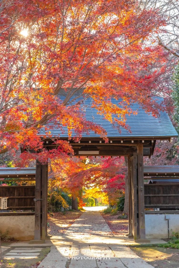 第266期:日本GDP增速下调?永野芽郁将复出?日本多所大学拟上调留学生学费?日本再发大地震;AKB48举行20周年演唱会 | 百通板 第266期:日本GDP增速下调?永野芽郁将复出?日本多所大学拟上调留学生学费?日本再发大地震;AKB48举行20周年演唱会 | 百通板