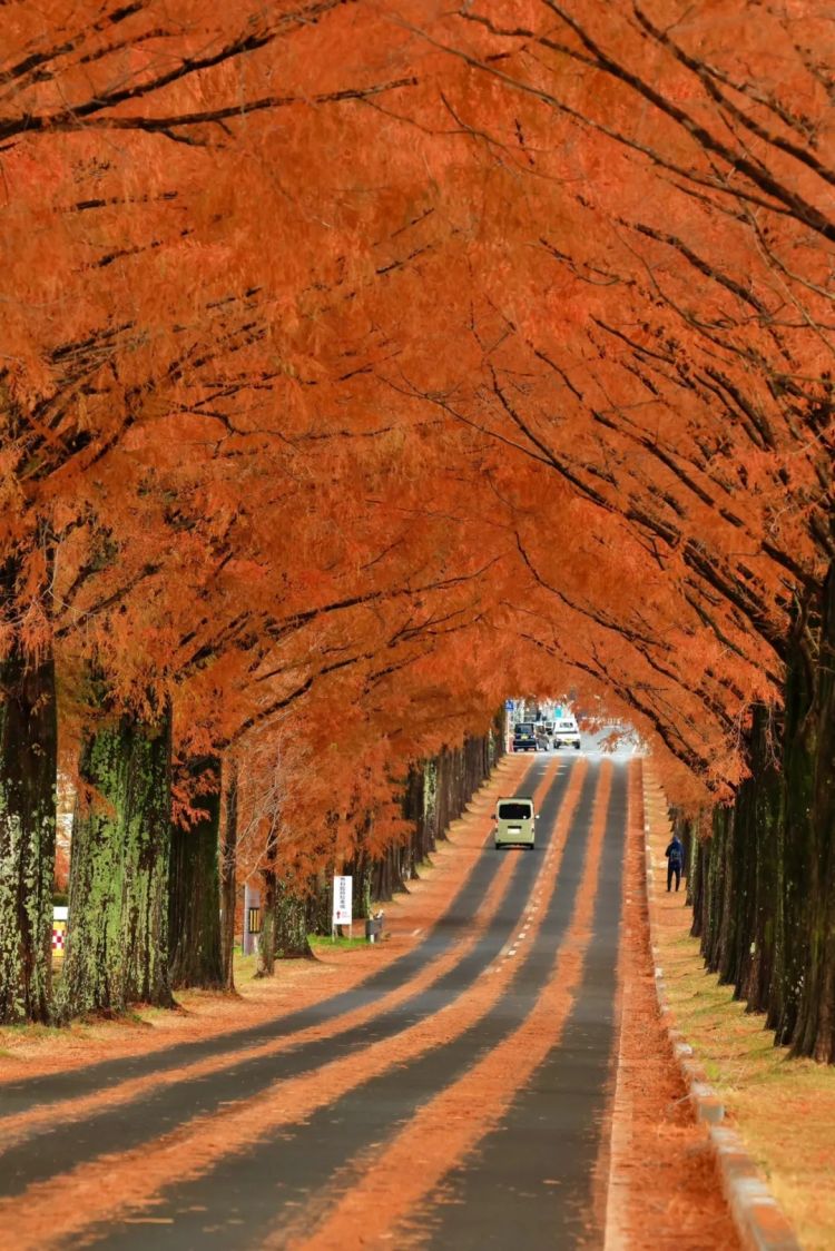 第266期:日本GDP增速下调?永野芽郁将复出?日本多所大学拟上调留学生学费?日本再发大地震;AKB48举行20周年演唱会 | 百通板 第266期:日本GDP增速下调?永野芽郁将复出?日本多所大学拟上调留学生学费?日本再发大地震;AKB48举行20周年演唱会 | 百通板