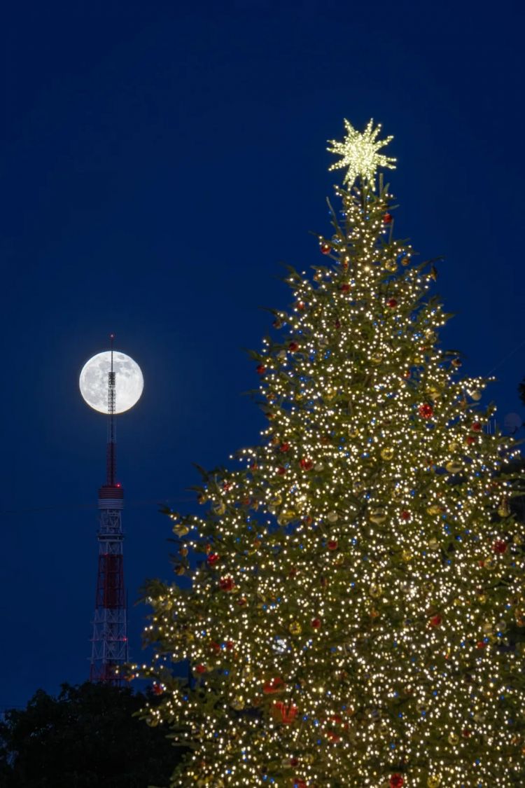 第266期:日本GDP增速下调?永野芽郁将复出?日本多所大学拟上调留学生学费?日本再发大地震;AKB48举行20周年演唱会 | 百通板 第266期:日本GDP增速下调?永野芽郁将复出?日本多所大学拟上调留学生学费?日本再发大地震;AKB48举行20周年演唱会 | 百通板