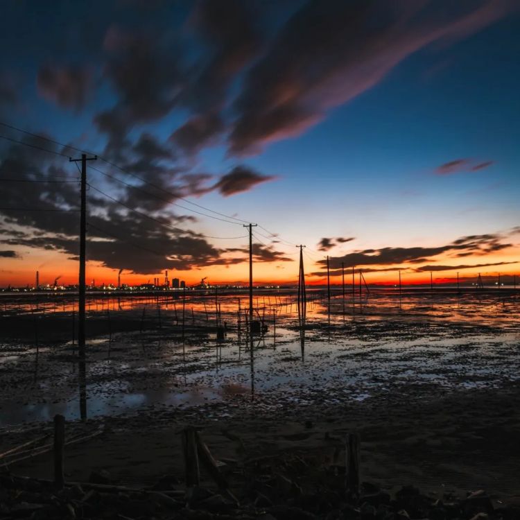 第267期：新一批731细菌战罪证公布；日本年度汉字揭晓；日本近7成支持女性天皇？日本将没有大熊猫？| 百通板