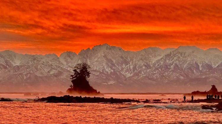 第267期：新一批731细菌战罪证公布；日本年度汉字揭晓；日本近7成支持女性天皇？日本将没有大熊猫？| 百通板