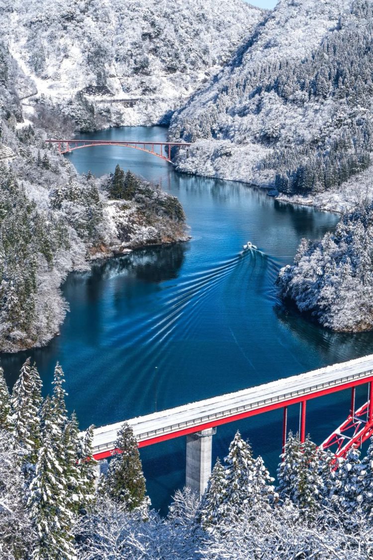 第267期：新一批731细菌战罪证公布；日本年度汉字揭晓；日本近7成支持女性天皇？日本将没有大熊猫？| 百通板