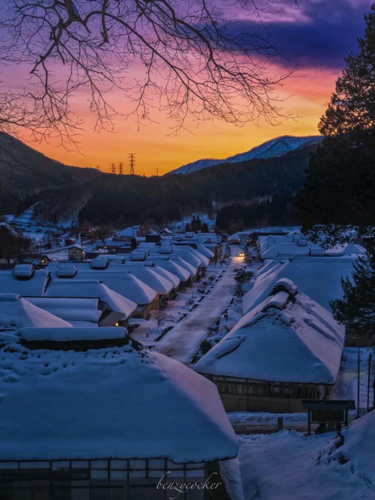 第267期：新一批731细菌战罪证公布；日本年度汉字揭晓；日本近7成支持女性天皇？日本将没有大熊猫？| 百通板