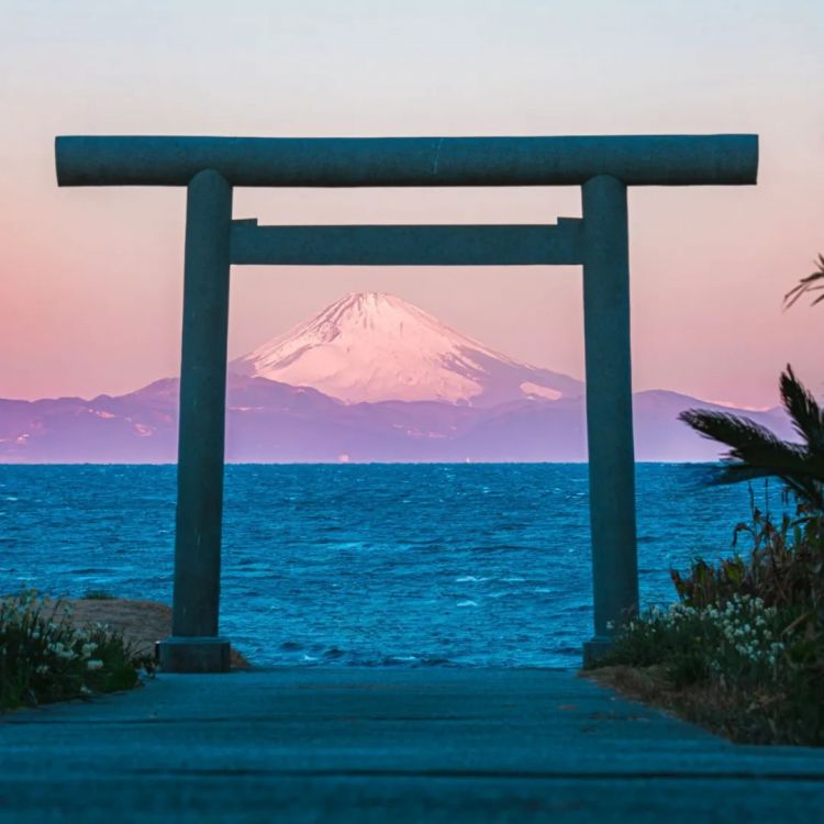 第267期：新一批731细菌战罪证公布；日本年度汉字揭晓；日本近7成支持女性天皇？日本将没有大熊猫？| 百通板