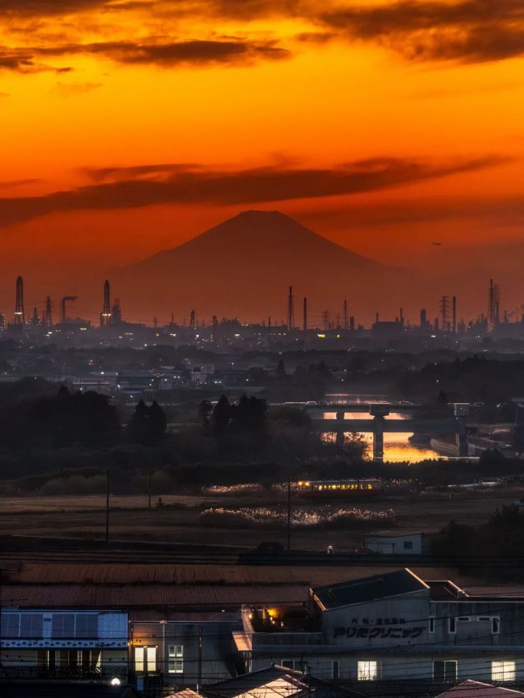 第267期：新一批731细菌战罪证公布；日本年度汉字揭晓；日本近7成支持女性天皇？日本将没有大熊猫？| 百通板