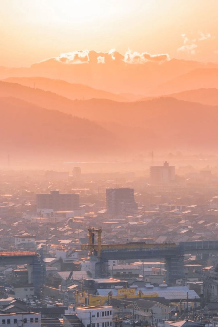 第267期：新一批731细菌战罪证公布；日本年度汉字揭晓；日本近7成支持女性天皇？日本将没有大熊猫？| 百通板