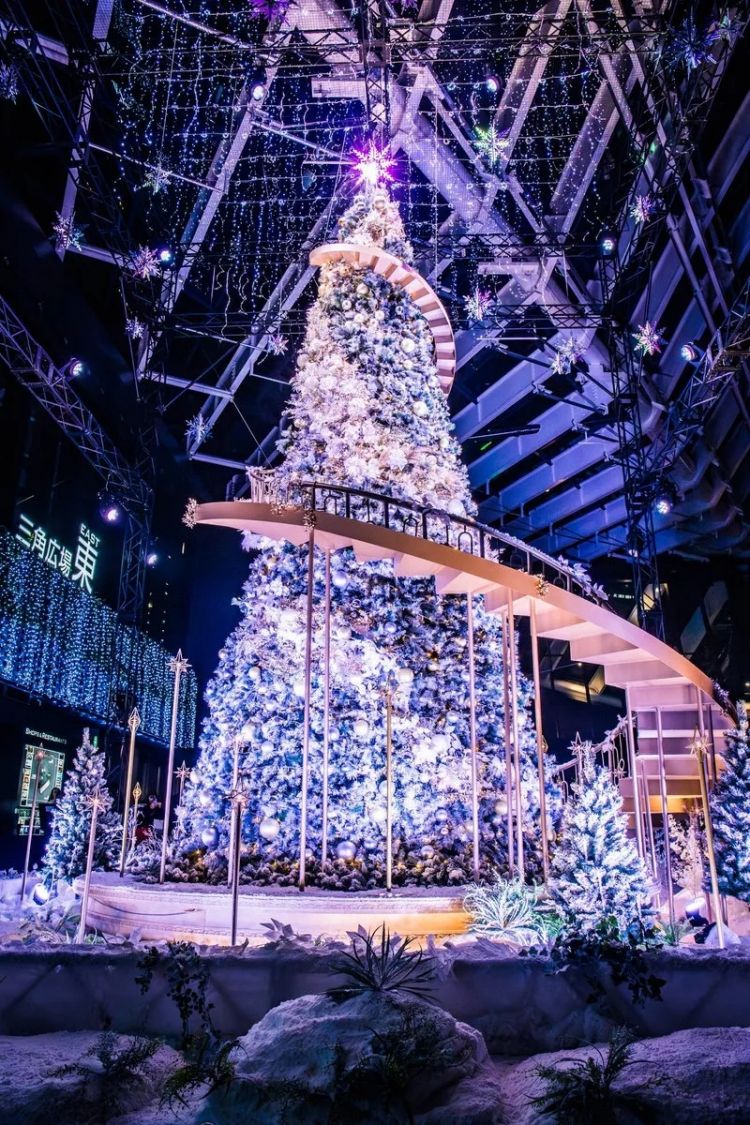 第268期：日本拥核论遭日本民众强烈抗议；安倍晋三刺杀案或判刑无期？新木优子中岛裕翔将结婚？福原爱再婚 | 百通板