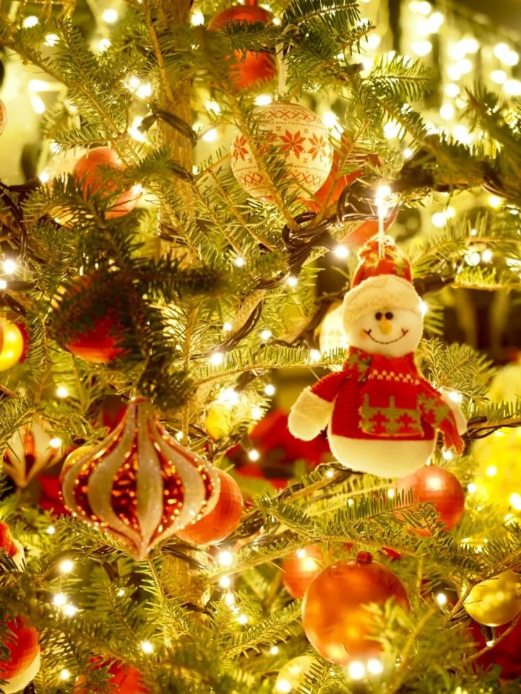 第268期：日本拥核论遭日本民众强烈抗议；安倍晋三刺杀案或判刑无期？新木优子中岛裕翔将结婚？福原爱再婚 | 百通板