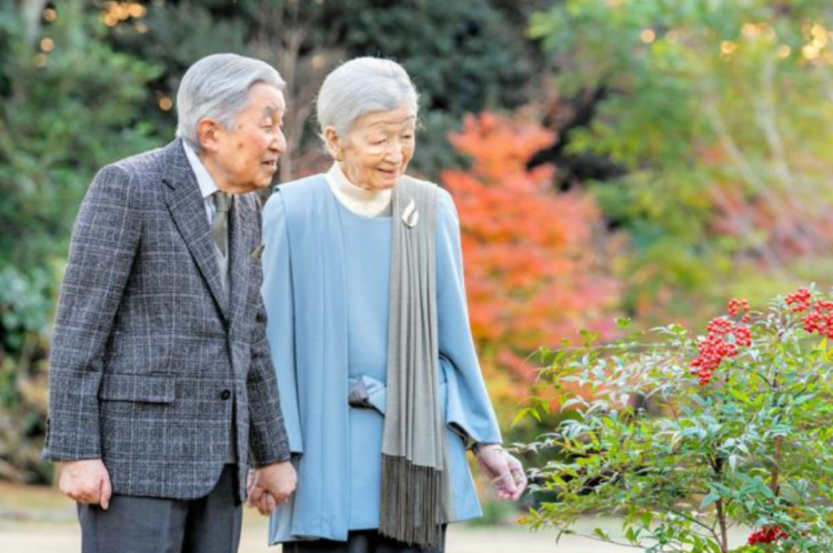 第269期:日本投入62亿应对熊害;松田圣子加盟红白;堂本光一宣布结婚;日本出生率再创新低?全球百大最美面孔出炉 | 百通板 第269期:日本投入62亿应对熊害;松田圣子加盟红白;堂本光一宣布结婚;日本出生率再创新低?全球百大最美面孔出炉 | 百通板