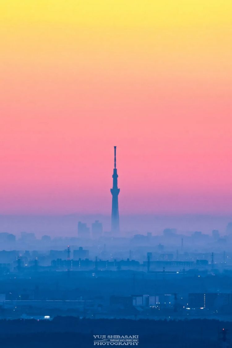 第269期:日本投入62亿应对熊害;松田圣子加盟红白;堂本光一宣布结婚;日本出生率再创新低?全球百大最美面孔出炉 | 百通板 第269期:日本投入62亿应对熊害;松田圣子加盟红白;堂本光一宣布结婚;日本出生率再创新低?全球百大最美面孔出炉 | 百通板