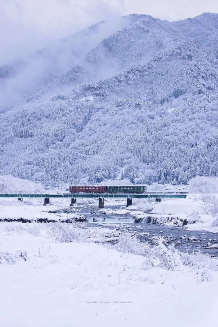 第269期:日本投入62亿应对熊害;松田圣子加盟红白;堂本光一宣布结婚;日本出生率再创新低?全球百大最美面孔出炉 | 百通板 第269期:日本投入62亿应对熊害;松田圣子加盟红白;堂本光一宣布结婚;日本出生率再创新低?全球百大最美面孔出炉 | 百通板