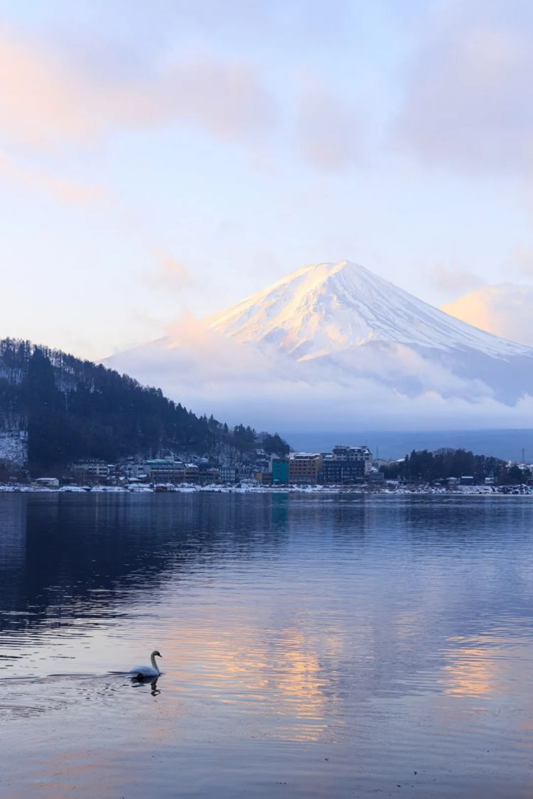 第269期:日本投入62亿应对熊害;松田圣子加盟红白;堂本光一宣布结婚;日本出生率再创新低?全球百大最美面孔出炉 | 百通板 第269期:日本投入62亿应对熊害;松田圣子加盟红白;堂本光一宣布结婚;日本出生率再创新低?全球百大最美面孔出炉 | 百通板